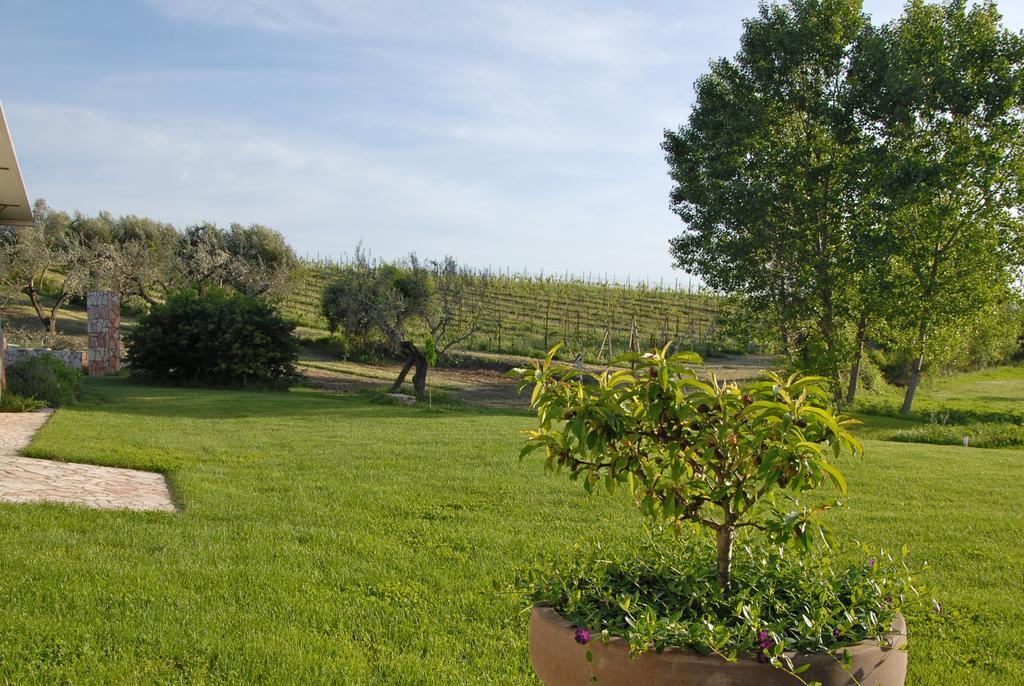 Agriturismo Arte Et Agricoltura Tuscania Bagian luar foto
