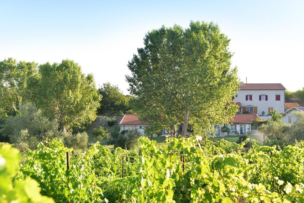 Agriturismo Arte Et Agricoltura Tuscania Bagian luar foto