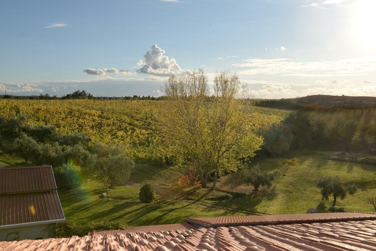 Agriturismo Arte Et Agricoltura Tuscania Bagian luar foto